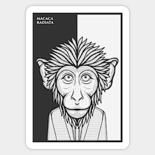 Bonnet Macaque Monkey Sticker